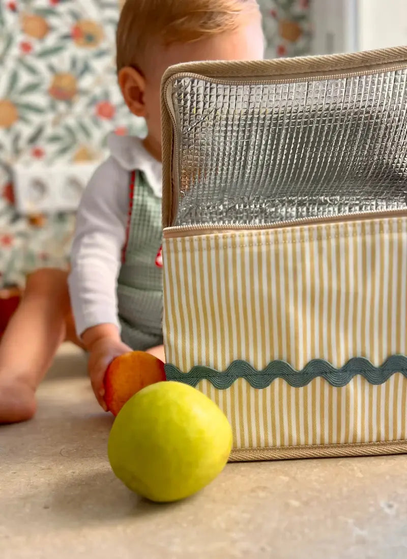 Nidota insulated lunch bag for nursery, bottles and family outings